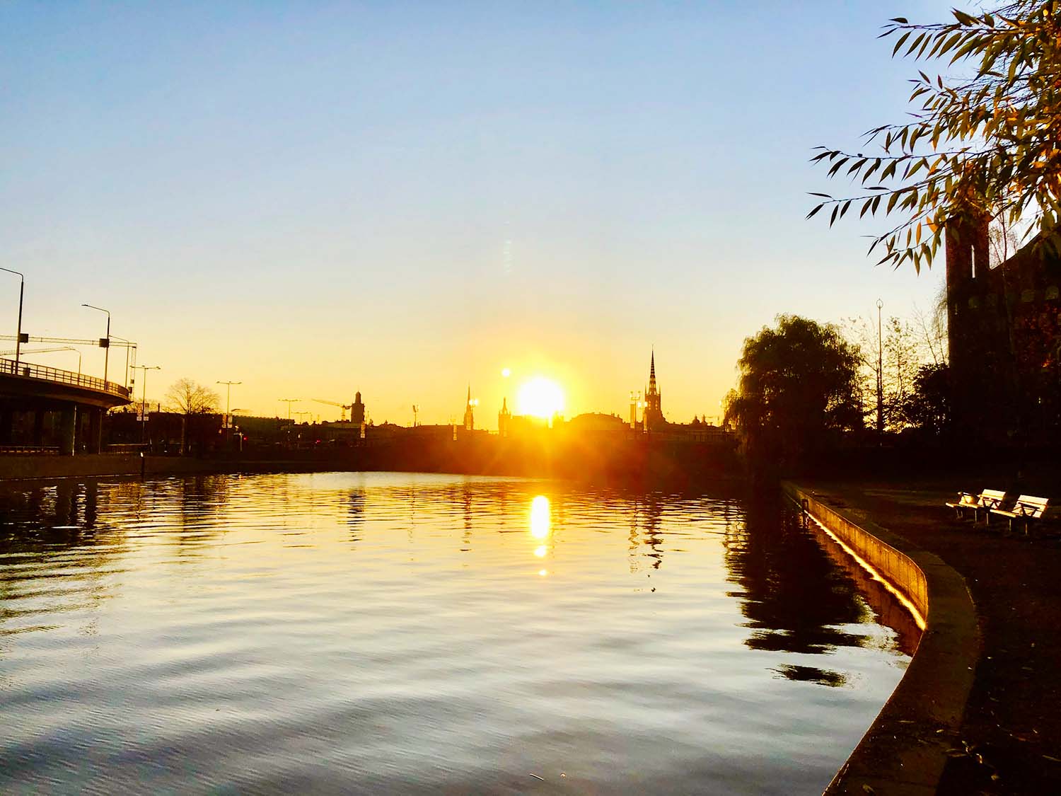 Morgonlöpning i Stockholm på hösten