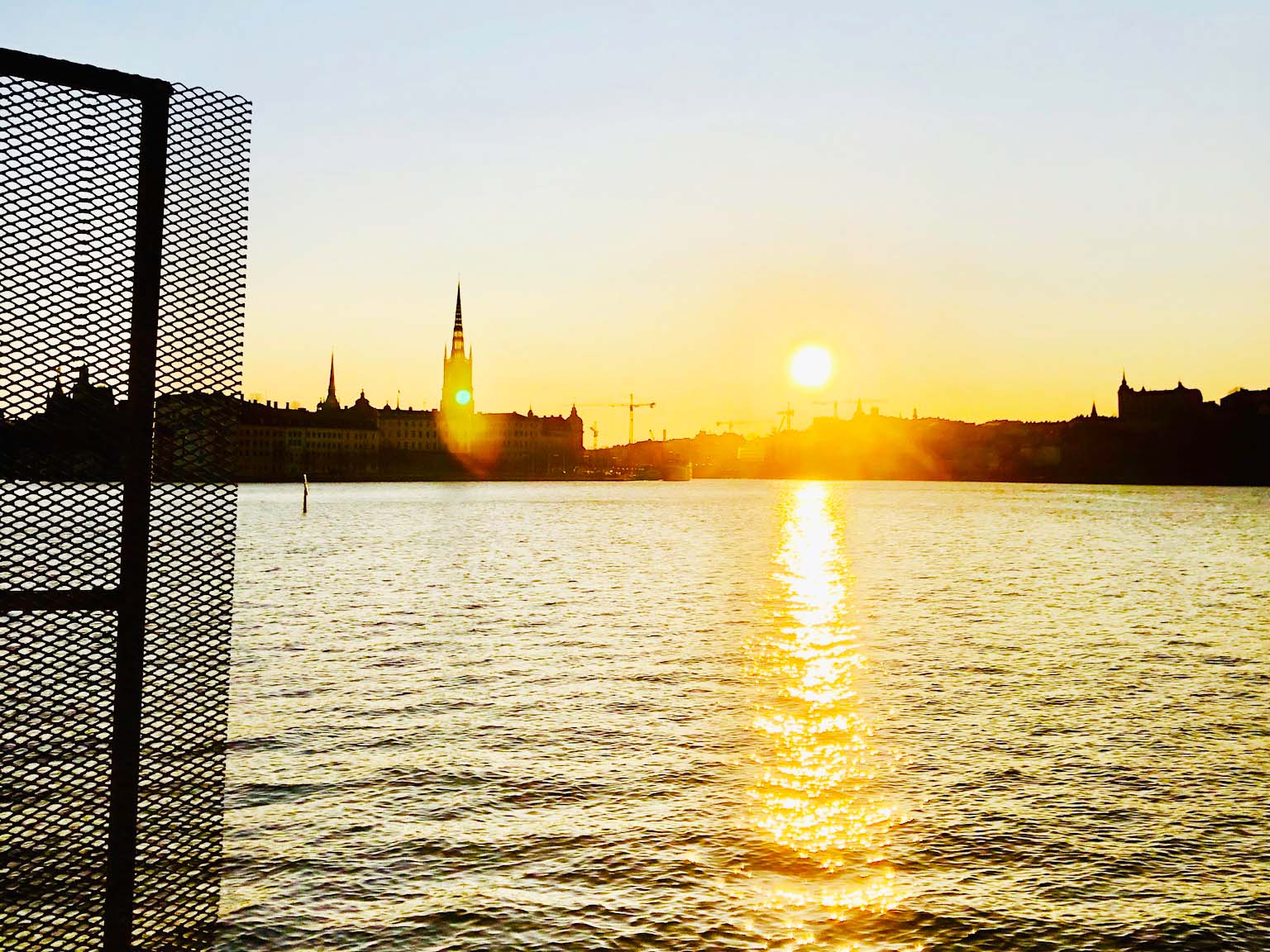 Morgonlöpning i Stockholm på hösten