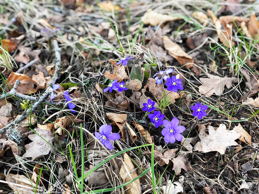 veckans-basta-paskveckan-1 - Veckans bästa från påskveckan ♥