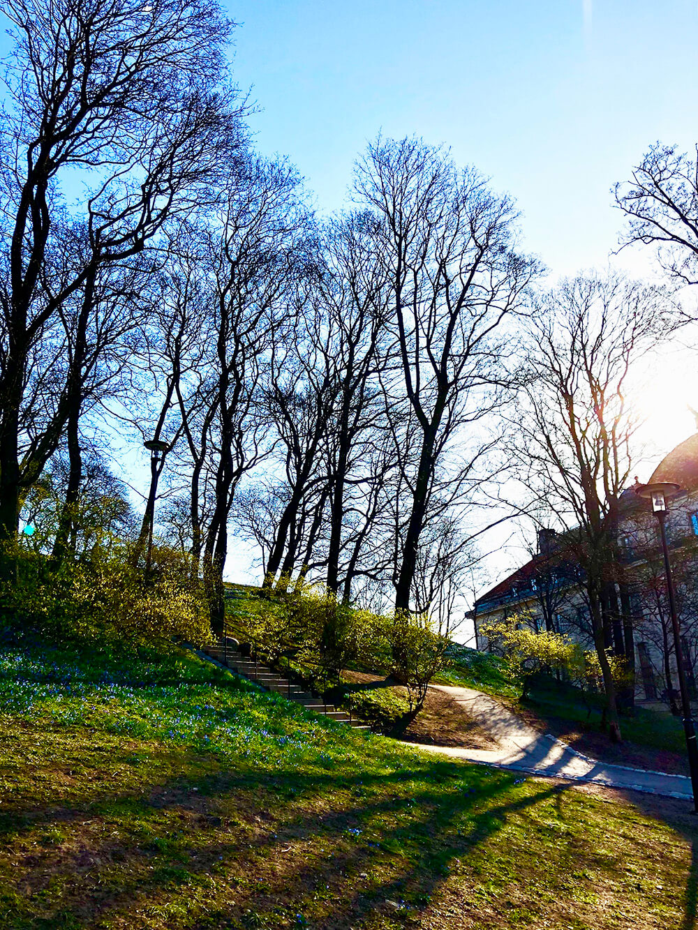 Vacker morgon i april