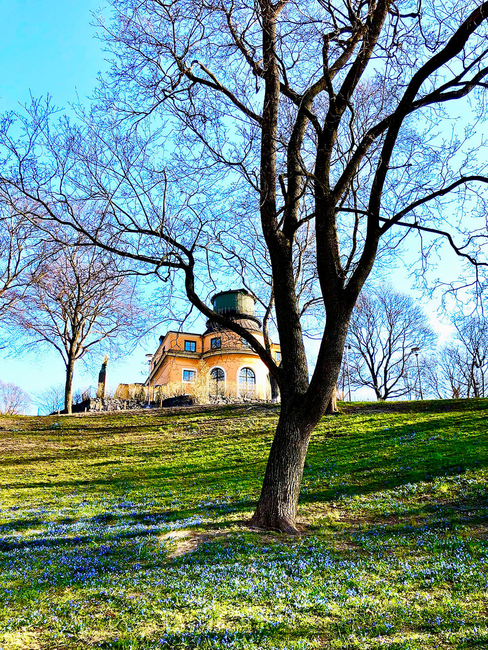 Vacker morgon i april