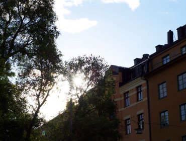 veckans-basta-promenad-till-jobbet-1