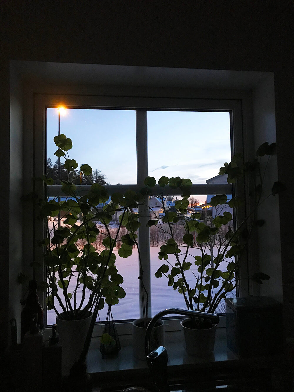 vinter och skymning på vår gata