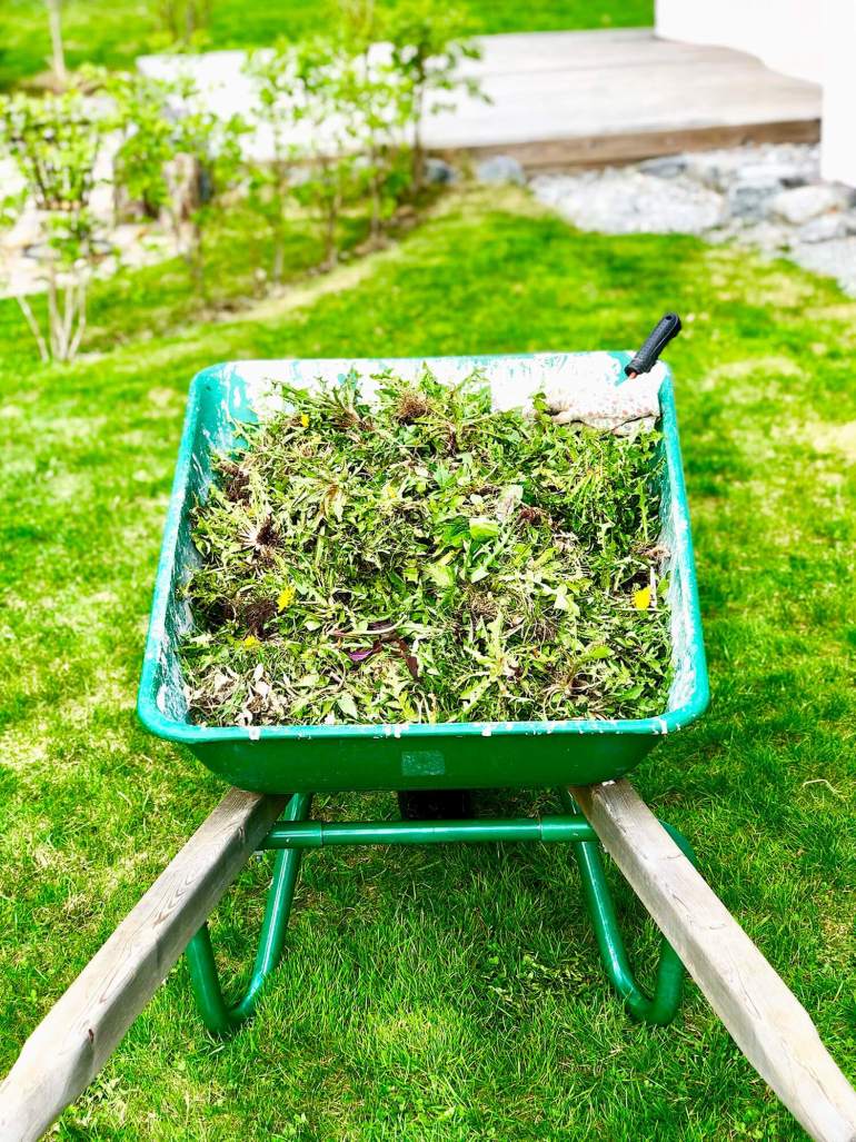 veckans-basta-v-20-tradgarden - Veckans bästa ♥