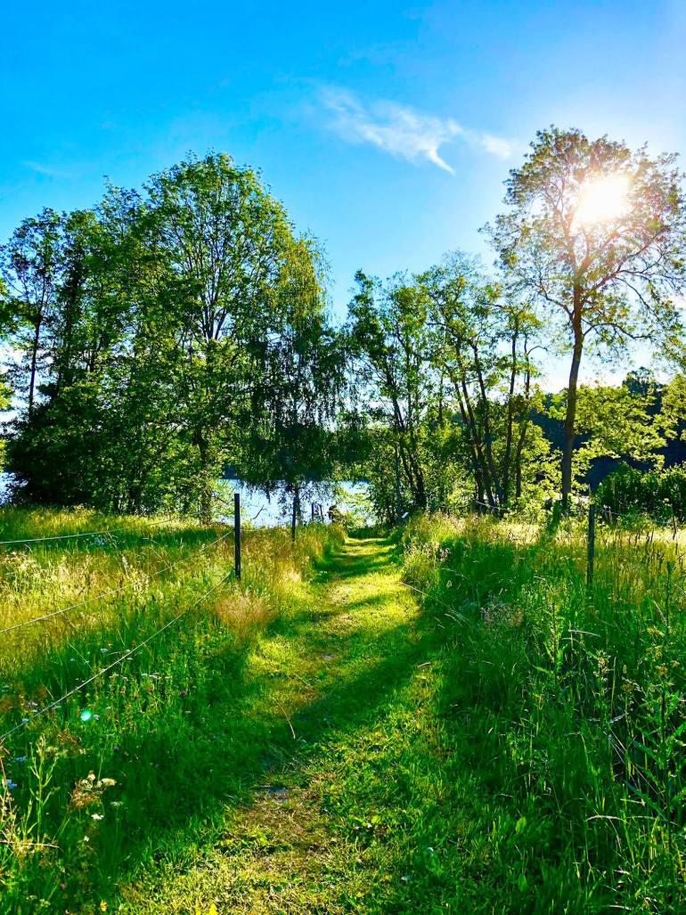 veckans-basta-v26-1 - Veckans bästa ♥