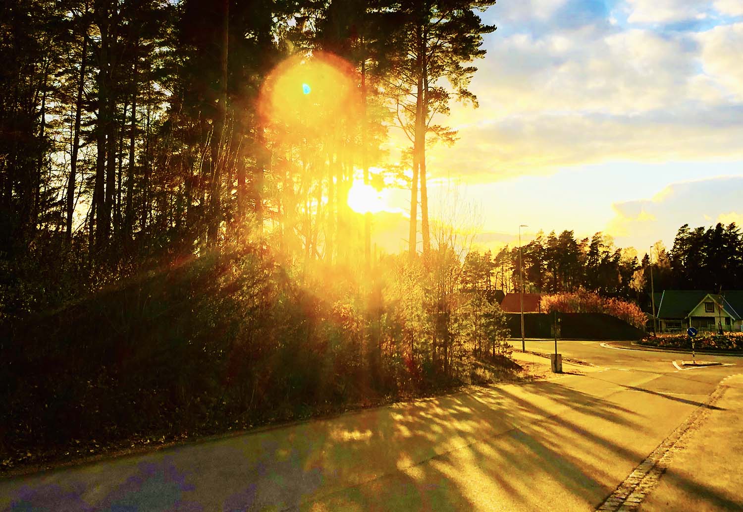 Vacker vårkväll i vårt område
