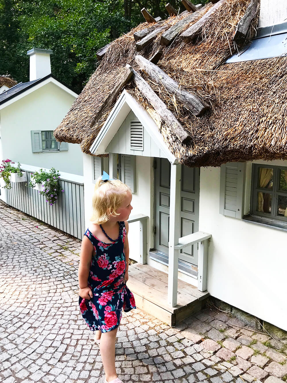 Astrid Lindgrens Värld, Vimmerby