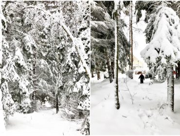 vinter-mycket-sno-5-1