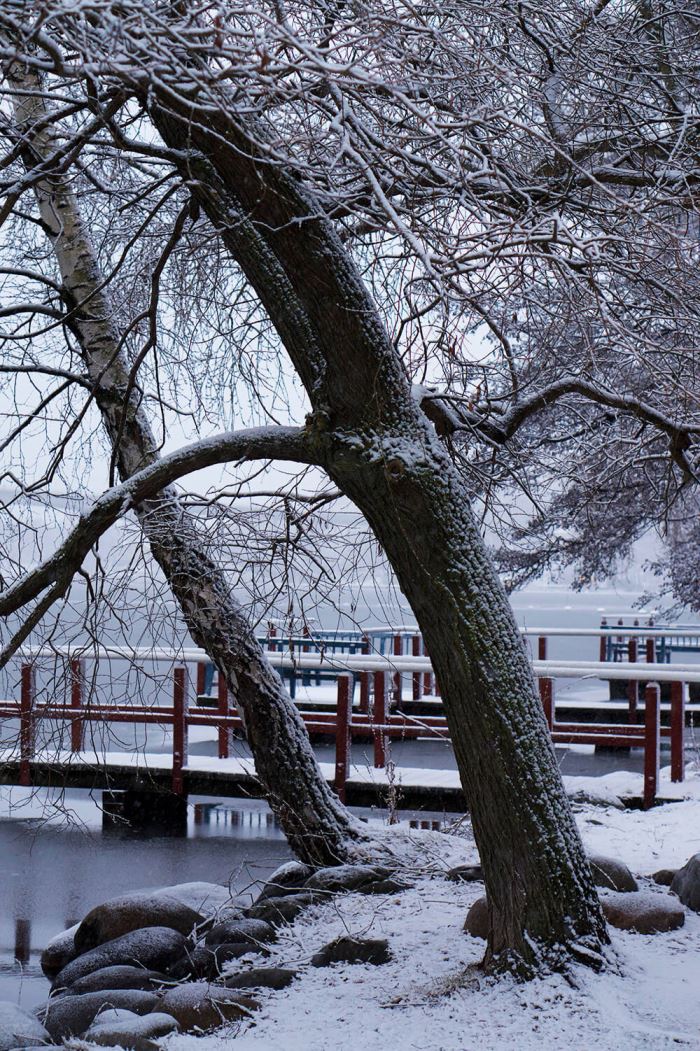 Vinter Norr Mälarstrand