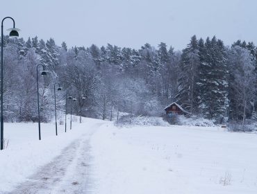 vinterpromenad-6-1
