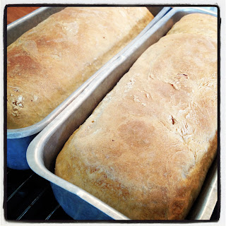 wilmer-brod-2 - babysmörgåsar