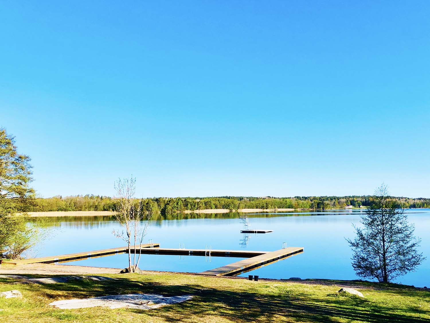 Yoga på bryggan en morgon i maj