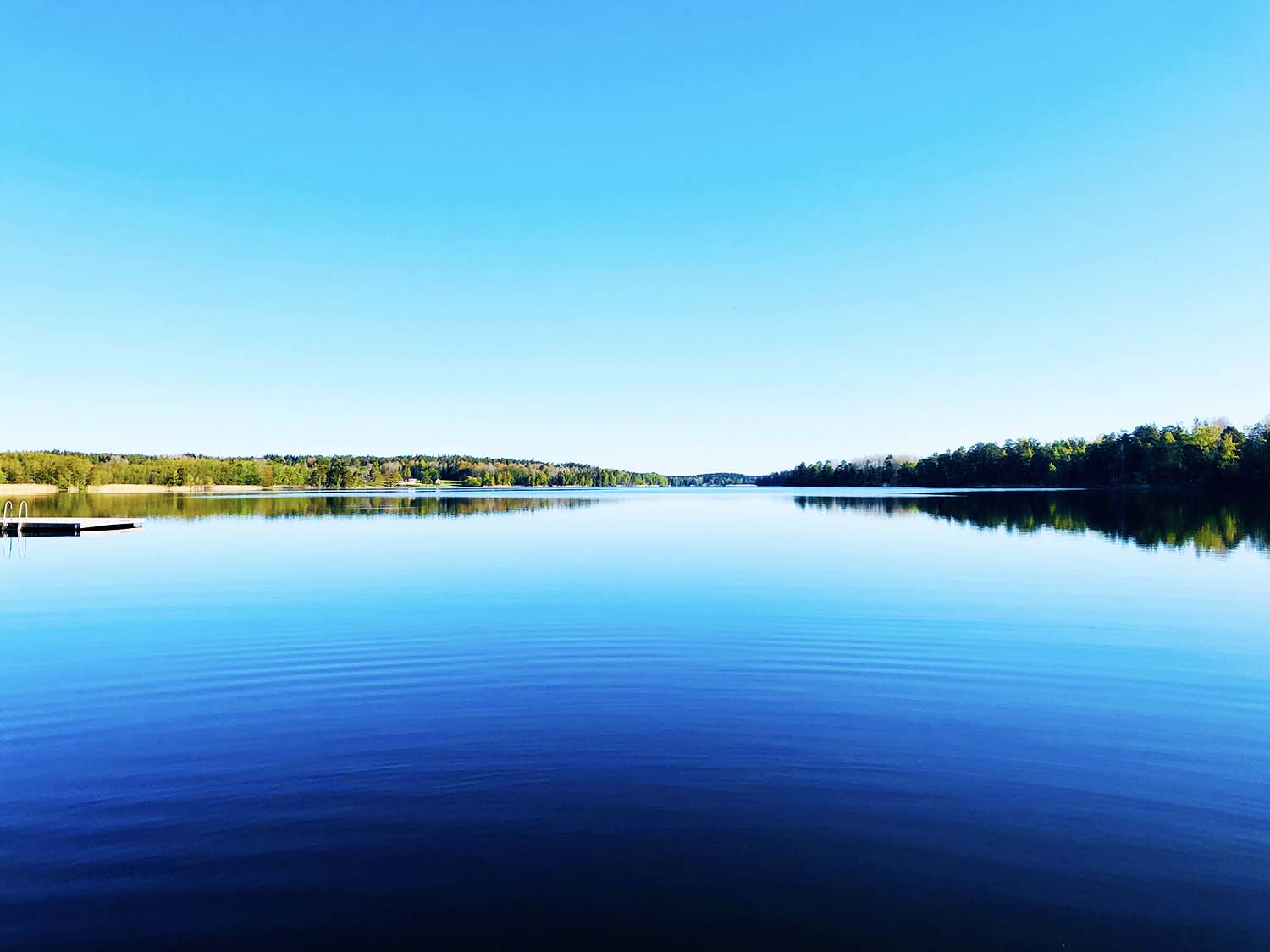 Yoga på bryggan en morgon i maj