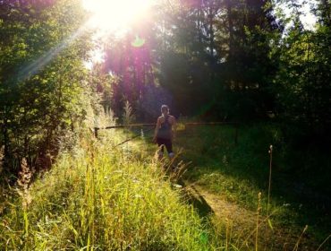 DSC03199-e1445279467418