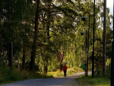 DSC04259-e1441738906205