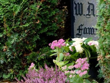 DSC05087-e1444492384912