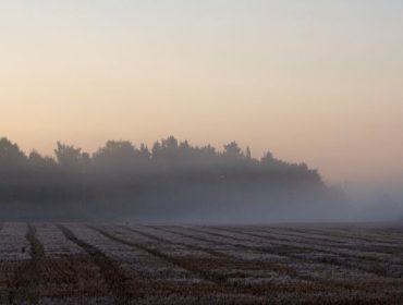 DSC05164-e1451338614710