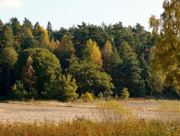 DSC05241-e1444935151534