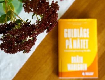 DSC05378-e1445341695320