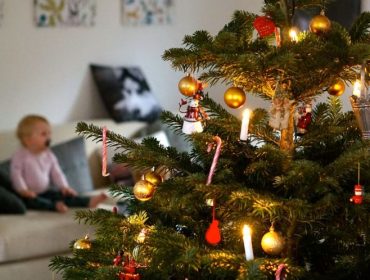 DSC06780-e1451245017575