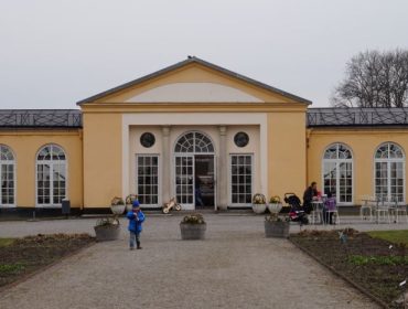 DSC08560-e1459779873861