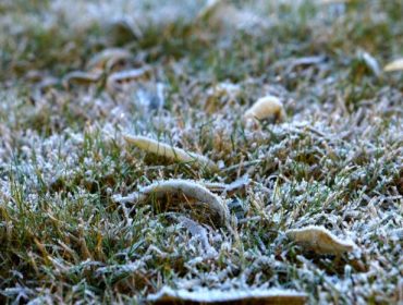 Frost-e1448220860828