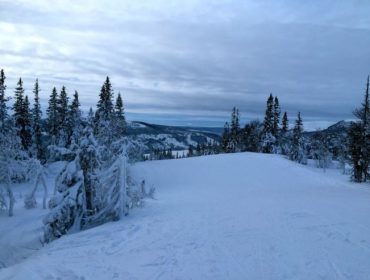 IMG_0162-e1453737379592