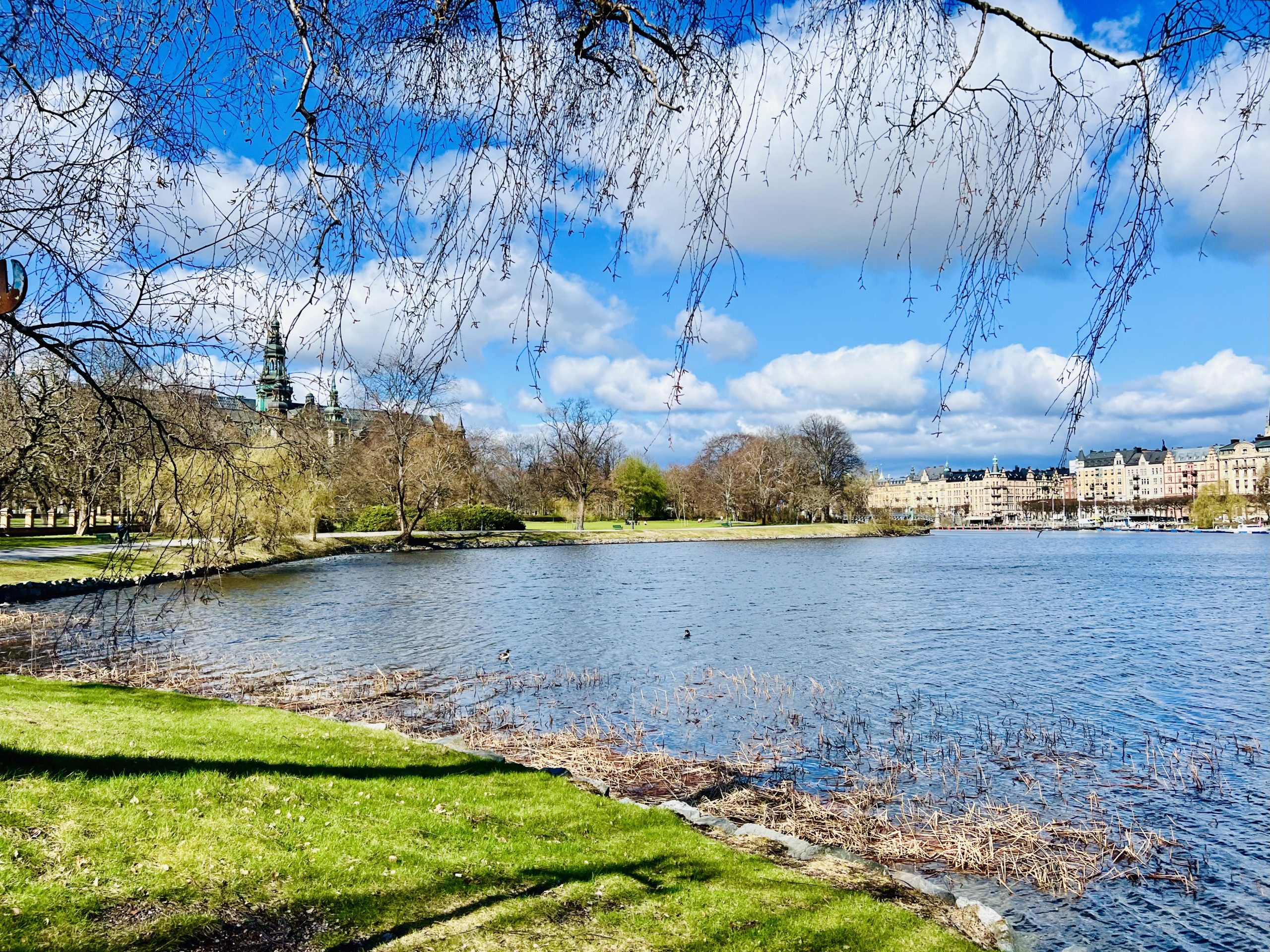 IMG_1468-scaled - SportHälsa-veckan