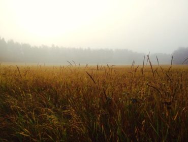 Lopning-i-dimma-e1442342714641