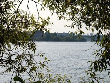 Sommardag-e1440527074244