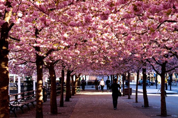 Traning-korsbarstrad-e1462215755963