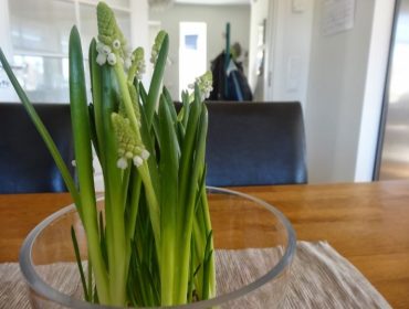 V-C3-A5rl-C3-B6kar-1-