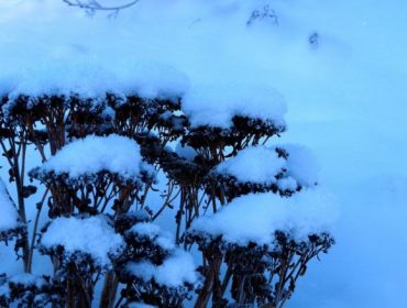 Vinter-e1453320443827