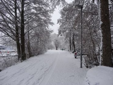 Vinterpromenad-4-