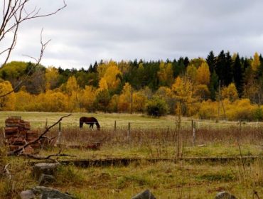 appelfabriken-9-e1445179218622