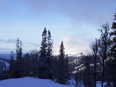 are-bjornen-skidakning-1