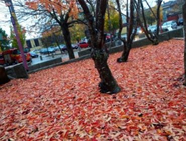 blogger-image-1406772887