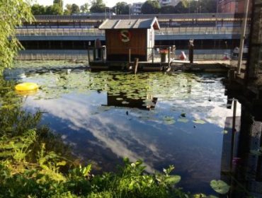 blogger-image-814454192