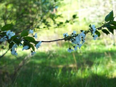 borta-bra-men-hemma-bast-min-sondag