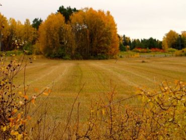 cykling-och-promenad-e1445342742727