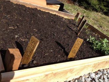 dagens-tr-C3-A4dg-C3-A5rdsh-C3-A4ng-4-