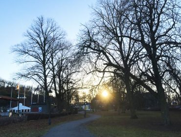 djurgarden-dagsljus-1