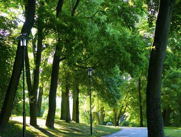 djurgarden-morgon-1