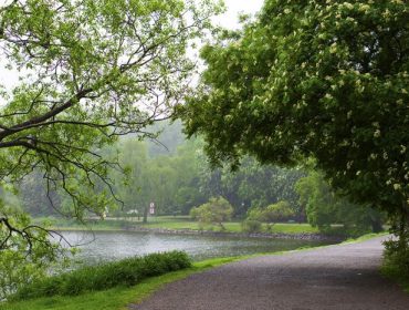 djurgarden-promenad13