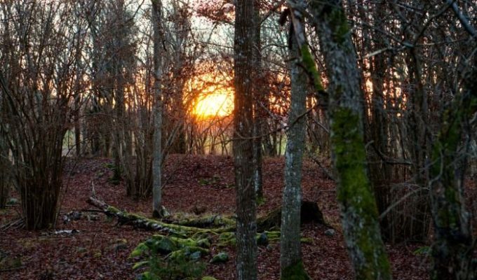 eftermiddagssol-6-e1459882717491