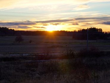 eftermiddagssol-e1448048057417