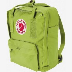 fj-C3-A4llr-C3-A4ven-moss