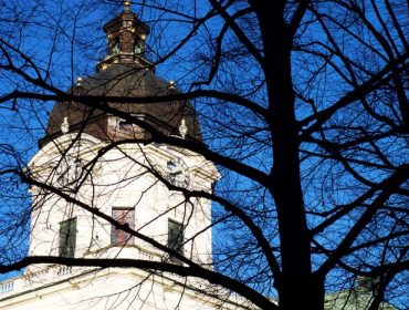 forsta-varblommorna-1