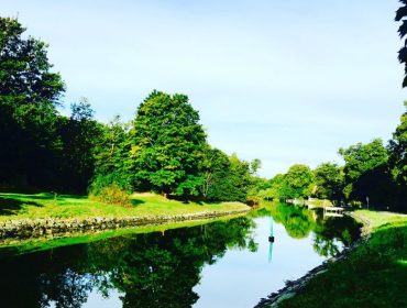 gladjeamnen-1