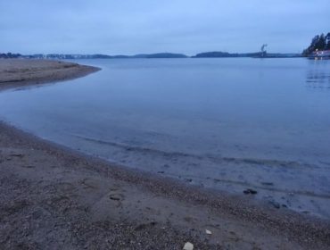 havet-tr-C3-A4ning-1-